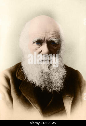 Charles Darwin, englischer Naturforscher Stockfoto