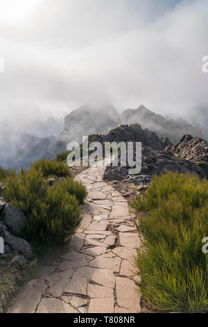 Nebel in den Bergen von Vereda do Areeiro, den Weg, der links Pico Ruivo zu Pico Do Arieiro. Funchal, Madeira, Portugal, Atlantik, Europa Stockfoto