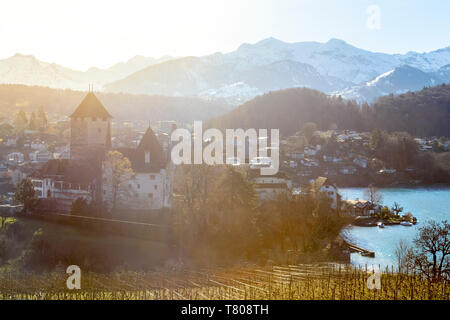 Sonnigen Tag auf der Burg von Spiez, Kanton Bern, Schweiz, Europa Stockfoto