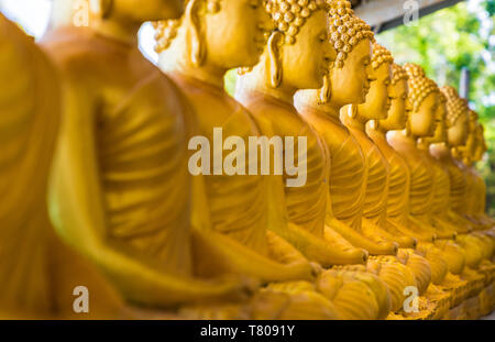 Eine Reihe von sitzenden Buddhas auf der Big Buddha Anlage (Der große Buddha) in Phuket, Thailand, Südostasien, Asien Stockfoto