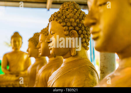 Eine Reihe von sitzenden Buddhas auf der Big Buddha Anlage (Der große Buddha) in Phuket, Thailand, Südostasien, Asien Stockfoto