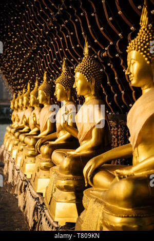 Buddha Statuen, Seema Malakaya Tempel, Colombo, Western Province, Sri Lanka, Asien Stockfoto