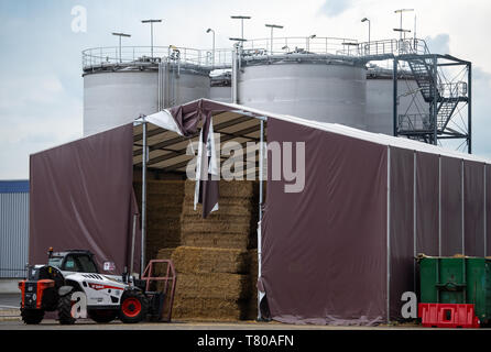 Schwedt, Deutschland. 09 Mai, 2019. 09 Mai 2019, Brandenburg, Schwedt/Oder: Stroh ist in einem Zelt auf dem Gelände der VERBIO Ethanol Schwedt GmbH & Co.KG, während die Presse Reise der Agentur für Erneuerbare Energien genommen gewachsen. Foto: Monika Skolimowska/dpa-Zentralbild/ZB Quelle: dpa Picture alliance/Alamy leben Nachrichten Stockfoto