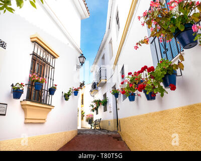 Estepona Altstadt mit weiß getünchten Gebäuden und traditionellen Geranientöpfe, typisch floralen rustikalen ruhigen Fußgängerzone weg Estepona, Málaga Spanien Stockfoto