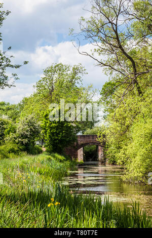 Ein Ziegelstein gebaute Brücke über die Themse und Severn Canal in der Nähe von Cirencester, Gloucestershire. Stockfoto