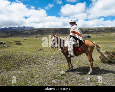 Indigene Mann auf einem Pferd in hohen Paramo Landschaft, Cotopaxi Nationalpark, Anden, Ecuador, Südamerika Stockfoto