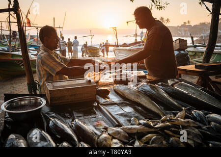 Fischmarkt in der Morgendämmerung, Galle, Südküste, Sri Lanka, Asien Stockfoto