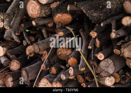 Ein Haufen gestapelt, Brennholz, für die Heizung des Hauses vorbereitet. Brennholz geerntet für Heizung im Winter. Gehackte Brennholz auf einem Stapel. Brennholz ein gestapelt Stockfoto