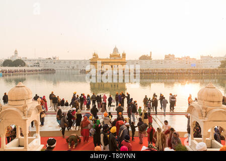 Menschenmassen versammeln, um zu beten und der Sonnenuntergang an der Goldene Tempel, Amritsar, Punjab, Indien, Asia Watch Stockfoto