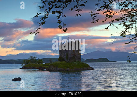 Castle Stalker auf Loch Linnhe, Port Appin, Argyll, Schottland, Großbritannien, Europa Stockfoto