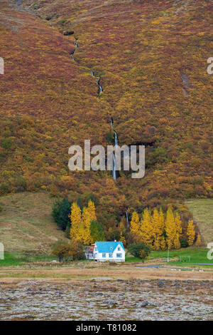 Isländische Haus im Herbst im Nationalpark Skaftafell, südlich von Island, Island, polaren Regionen eingestellt Stockfoto