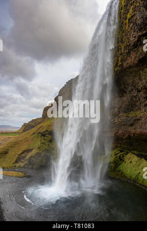 Der Wasserfall Seljalandsfoss, Seljalandsa River, South Island, Island, Polargebiete Stockfoto