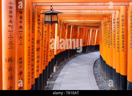 Red Gates im Fushimi Inari Taisha, ein Shinto Schrein auf dem Berg Inari, Kyoto, Arashiyama, Japan, Asien Stockfoto