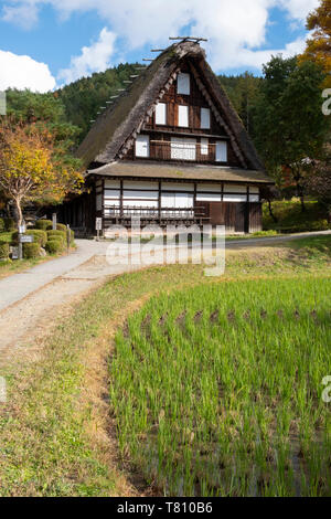 Nishiokas House, einem traditionellen strohgedeckten Gebäude und ein Reisfeld im Hida Folk Village, Hida keine Sato, Takayama, Honshu, Japan, Asien Stockfoto