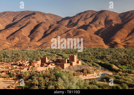 Ait Hamou ou sagte Kasbah, Atlas Gebirge, Draa-tal, Marokko, Nordafrika, Afrika Stockfoto