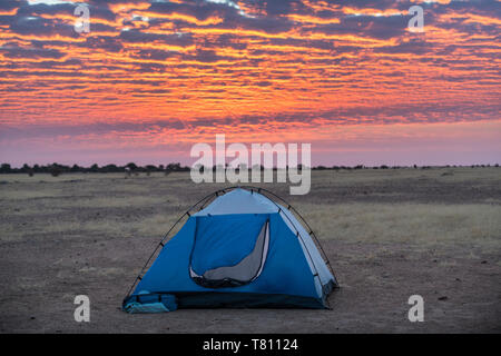 Camping unter einem dramatischen Morgenhimmel in der Sahelzone, Tschad, Afrika Stockfoto