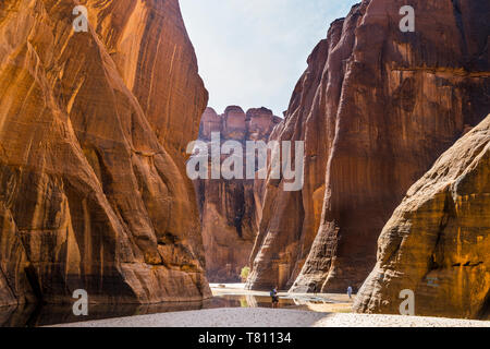 D'Guelta Archei Wasserloch, Ennedi Plateau, UNESCO-Weltkulturerbe, Region Ennedi, Tschad, Afrika Stockfoto