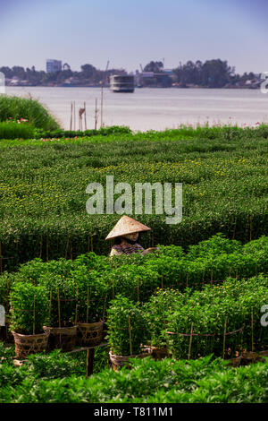 Dorf Bauern im Mekong Delta vom intensiven Leben in der Stadt von Saigon, Vietnam, Indochina, Südostasien, Asien Stockfoto