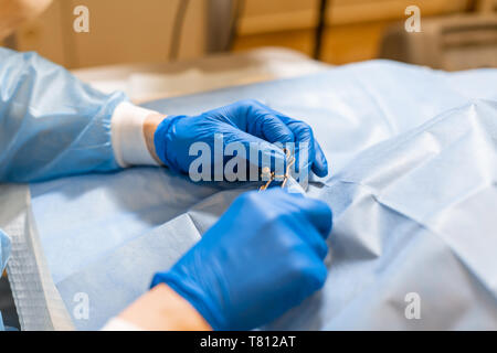 Vet Chirurg assistant Abdeckung hund Patienten durch sterile Abdeckung. die Vorbereitung auf die Berufsbildung chirurgischen Operation. Stockfoto