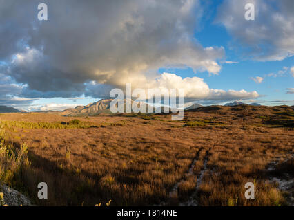 Landschaft zwischen Queenstown und Strahan Stockfoto