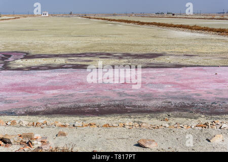 Rosa Salz bei Sambhar Salt Lake in Rajasthan. Indien Stockfoto