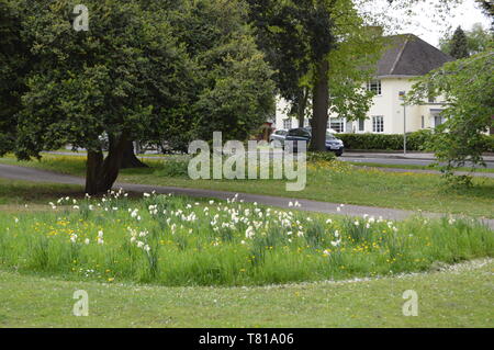 Einen ruhigen Spaziergang durch den wunderschönen Park Pitville, Cheltenham. Gloucestershire, England Stockfoto