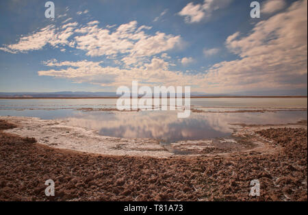 Cloud Reflexionen an der Laguna Tebinquiche, San Pedro de Atacama, Chile Stockfoto