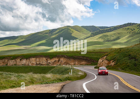 Superbloom 2019 Kalifornien Stockfoto