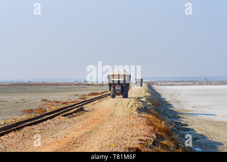 Sambhar, Indien - Februar 02, 2019: Traktoren geladen mit SOLT an der Straße von Sambhar solt See. Rajasthan Stockfoto