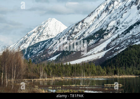 Majestätische Berglandschaften aus dem südlichen Alaska Stockfoto