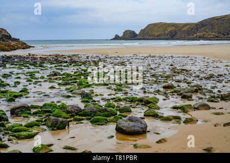 Farr Bucht und Strand in der Nähe von bettyhill im nördlichen Schottland Stockfoto