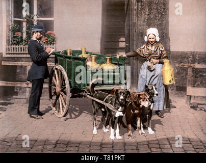 Flämische Milchmagd, 1890-1900 Stockfoto