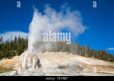 Lone Star Geyser, Yellowstone Stockfoto