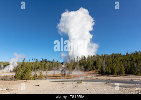 Steamboat Geysir, 2018 Stockfoto