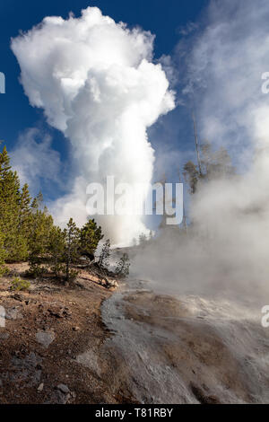 Steamboat Geysir Stockfoto