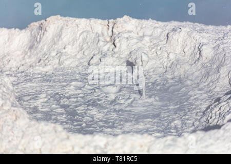 Fountain Paint Pot, Yellowstone Stockfoto