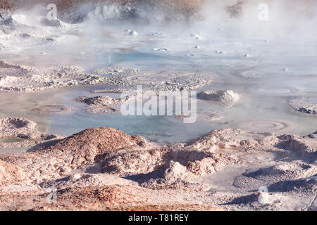 Fountain Paint Pot, Yellowstone Stockfoto