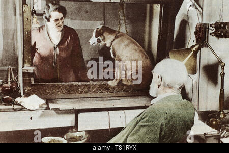 Pavlov und Hund Stockfoto