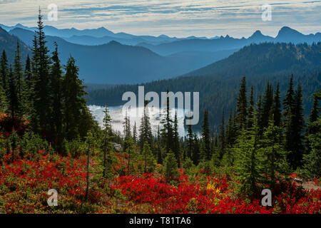 Red Huckleberry und Kiefern vor Dewey Lake in Washington Wildnis Stockfoto