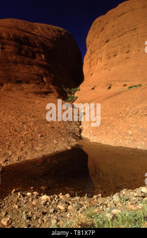 ROCK POOL, die OLGAS IN Uluru - Kata Tjuta National Park, Northern Territory, Australien Stockfoto