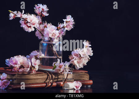 Cherry Blossom, sakura Blumen in Gläsern auf einem vintage Buch. Fragile Frühjahrsblüte noch Leben auf einem dunklen Hintergrund mit kopieren. Stockfoto