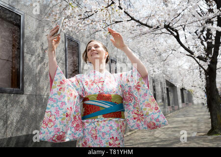 Kirschblüten im Gion in Kyoto Stockfoto
