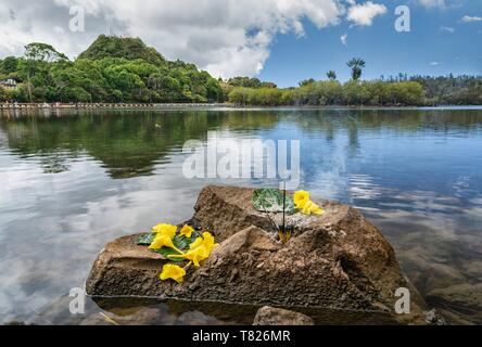 Mauritius, Savanne Bezirk, Grand Bassin, Crater Lake, heilige Stätte des Hinduismus, viele Tempel Stockfoto