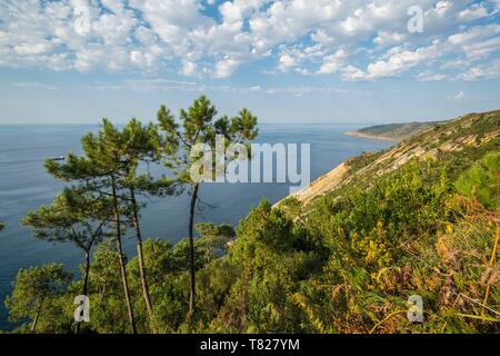 Spanien, Guipuzkoa, aalen Sie sich Land, Pasaia, flysch Klippe an der Küste weg in Pasaïa Stockfoto