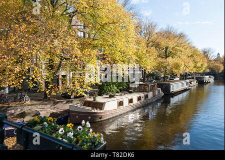 Niederlande, Amsterdam Centraal, Blauwburgwal, Hausboote auf dem Kanal Stockfoto