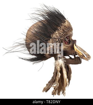 Ein ahnenschädel der Asmat Menschen, Papua Neuguinea, dunkel patiniert Schädel eines alten Mannes, der Kiefer durch Gewebte rattan Bands statt durch die Nase öffnen und cord Umhüllungen in der Gemeinsamen. Die Augenhöhlen und nasalen Knochen mit einem dunklen Masse mit farbigen Samen gefüllt. Große Nase Dekoration aus ein Schneckenhaus. Kunstvoll geflochtenen Kopfschmuck der verschiedenen Vogelfedern. Die Spuren des Alters. Höhe 18 cm. Die Schädel von geschätzten Vorfahren, so genannte "Ndambirkus", wurden Objekte der Verehrung. Sie wurden aufwendig dekoriert und in einem Saf gehalten, Additional-Rights - Clearance-Info - Not-Available Stockfoto