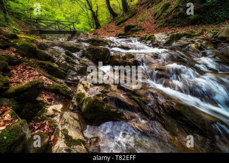 Mountain River unter Holzbrücke. Schöne Landschaft vom Frühling, Wald Stockfoto