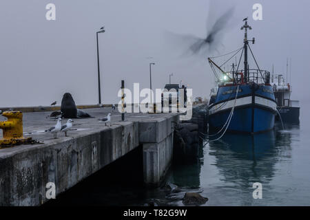 Ein Abend Nebel rollen in vom Atlantischen Meer und Decken Hout Bay Hafen im Nebel auf der Kap Halbinsel, in der Nähe von Kapstadt in Südafrika Stockfoto