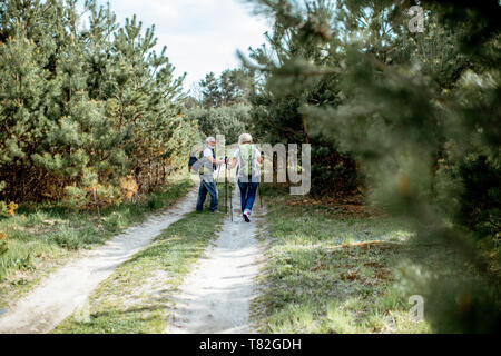 Senior Paar wandern mit Rucksäcken auf dem Weg in die junge Kiefernwald, Rückansicht Stockfoto