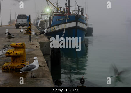 Ein Abend Nebel rollen in vom Atlantischen Meer und Decken Hout Bay Hafen im Nebel auf der Kap Halbinsel, in der Nähe von Kapstadt in Südafrika Stockfoto